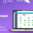 В Прикамье расписание спортивных секций теперь доступно в ЭПОС - PRO Соликамск