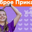  Объявлен старт Марафона добрых дел «Доброе Прикамье» - PRO Соликамск