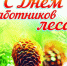 День работников леса - PRO Соликамск