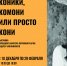 1 Открытие персональной выставки Народного мастера Пермского края Андрея Чаплинского «Коники, комони или просто кони» - Администрация Соликамского г.о.