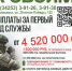 1 Стань частью военной силы России – поступай на службу по контракту! - Администрация Соликамского г.о.