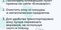 Двенадцать округов Прикамья присоединились к всероссийской акции «Ёлковорот» - PRO Соликамск
