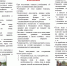 7NClb9ty-foKyY157xSrriQV4xMZYQo-anADSn_zhkoSDlu8yfoqOffHQD6F8ySc69dXpUT2wiRHxBuUGIIFwUfZ.jpg - Администрация Соликамского г.о.